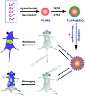 Graphical abstract: Fabrication of mesoporous La3Ga5GeO14:Cr3+,Zn2+ persistent luminescence nanocarriers with super-long afterglow for bioimaging-guided in vivo drug delivery to the gut