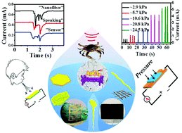 Graphical abstract: Guiding growth orientation of two-dimensional Au nanocrystals with marine chitin nanofibrils for ultrasensitive and ultrafast sensing hybrids