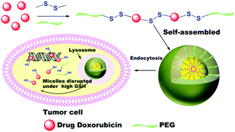 Graphical abstract: One-pot synthesis of glutathione-responsive amphiphilic drug self-delivery micelles of doxorubicin–disulfide–methoxy polyethylene glycol for tumor therapy