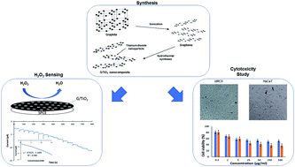 Graphical abstract: One-step green hydrothermal synthesis of biocompatible graphene/TiO2 nanocomposites for non-enzymatic H2O2 detection and their cytotoxicity effects on human keratinocyte and lung fibroblast cells