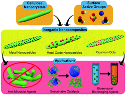 Graphical abstract: Cellulose nanocrystal (CNC)–inorganic hybrid systems: synthesis, properties and applications