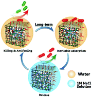 Graphical abstract: Integration of antifouling and antibacterial properties in salt-responsive hydrogels with surface regeneration capacity