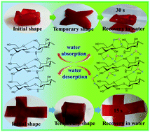 Graphical abstract: Cellulose nanofibers/polyurethane shape memory composites with fast water-responsivity