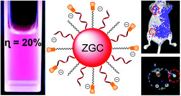 Graphical abstract: Oral administration of highly bright Cr3+ doped ZnGa2O4 nanocrystals for in vivo targeted imaging of orthotopic breast cancer