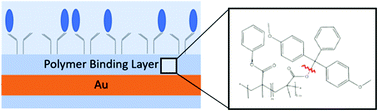 Graphical abstract: Impedance spectroscopic detection of binding and reactions in acid-labile dielectric polymers for biosensor applications