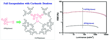 Graphical abstract: An oligocarbazole-encapsulated heteroleptic red iridium complex for solution-processed nondoped phosphorescent organic light-emitting diodes with over 10% external quantum efficiency