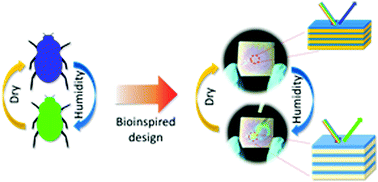 Graphical abstract: Bioinspired stimuli-responsive multilayer film made of silk–titanate nanocomposites