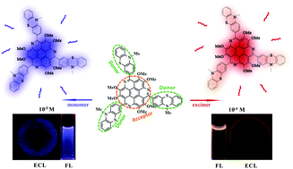 Graphical abstract: Triphenothiazinyl triazacoronenes: donor–acceptor molecular graphene exhibiting multiple fluorescence and electrogenerated chemiluminescence emissions