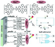 Graphical abstract: pH controllable photocurrent switching and molecular half-subtractor calculations based on a monolayer composite film of a dinuclear RuII complex and graphene oxide
