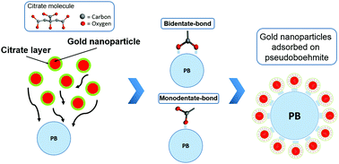 Graphical abstract: Gold nanoparticle SERS substrates sustainable at extremely high temperatures