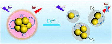 Graphical abstract: Red-emitting Au7 nanoclusters with fluorescence sensitivity to Fe2+ ions
