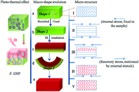 Graphical abstract: Electrically/infrared actuated shape memory composites based on a bio-based polyester blend and graphene nanoplatelets and their excellent self-driven ability