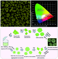 Graphical abstract: Morphology-controlled facile surfactant-free synthesis of 3D flower-like BiOI:Eu3+ or Tb3+ microarchitectures and their photoluminescence properties