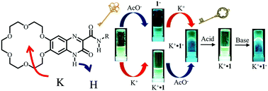 Graphical abstract: Dual fluorescent zwitterionic organogels of a quinoxalinone derivative using cation–anion detection keys