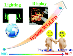 Graphical abstract: Manipulation of exciton distribution for high-performance fluorescent/phosphorescent hybrid white organic light-emitting diodes