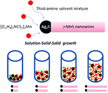 Graphical abstract: Solution–solid–solid growth of metastable wurtzite γ-MnS nanowires with controlled length