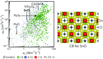 Graphical abstract: SnO as a potential oxide thermoelectric candidate