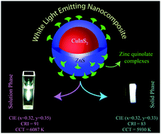 Graphical abstract: Zinc quinolate complex decorated CuInS2/ZnS core/shell quantum dots for white light emission