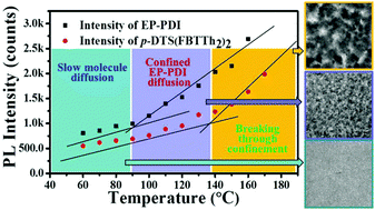 Graphical abstract: Tuning molecule diffusion to control the phase separation of the p-DTS(FBTTh2)2/EP-PDI blend system via thermal annealing