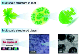 Graphical abstract: Multiscale structured glass for advanced light management