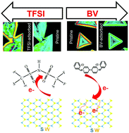 Graphical abstract: Heterogeneous modulation of exciton emission in triangular WS2 monolayers by chemical treatment