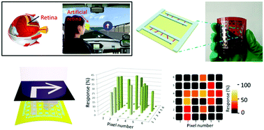 Graphical abstract: A self-powered flexible vision electronic-skin for image recognition based on a pixel-addressable matrix of piezophototronic ZnO nanowire arrays