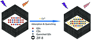 Graphical abstract: A dual-emissive fluorescent sensor fabricated by encapsulating quantum dots and carbon dots into metal–organic frameworks for the ratiometric detection of Cu2+ in tap water