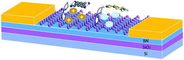Graphical abstract: Formation of arsenene p–n junctions via organic molecular adsorption