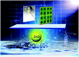 Graphical abstract: Advanced encryption based on fluorescence quenching of ZnO nanoparticles