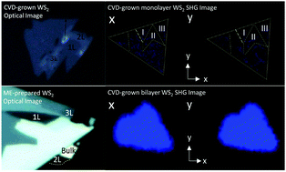 Graphical abstract: A comprehensive comparison study on the vibrational and optical properties of CVD-grown and mechanically exfoliated few-layered WS2