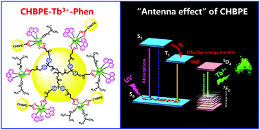 Graphical abstract: An intensive green emitting terbium complex using a newly designed aromatic hyperbranched polyester as an efficient antenna ligand