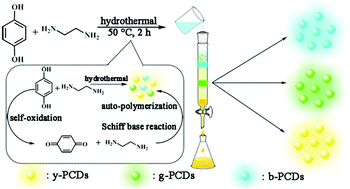 Graphical abstract: Facile synthesis of multicolor photoluminescent polymer carbon dots with surface-state energy gap-controlled emission