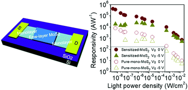 Graphical abstract: Sensitized monolayer MoS2 phototransistors with ultrahigh responsivity