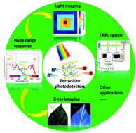Graphical abstract: Recent progress of metal halide perovskite photodetectors