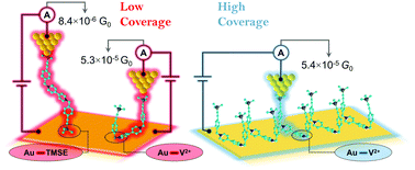 Graphical abstract: Influence of surface coverage on the formation of 4,4′-bipyridinium (viologen) single molecular junctions