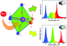 Graphical abstract: A highly-distorted octahedron with a C2v group symmetry inducing an ultra-intense zero phonon line in Mn4+-activated oxyfluoride Na2WO2F4