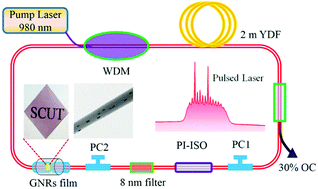 Graphical abstract: Composite film with anisotropically enhanced optical nonlinearity for a pulse-width tunable fiber laser