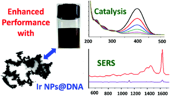 Graphical abstract: Prompt synthesis of iridium organosol on DNA for catalysis and SERS applications
