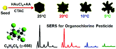 Graphical abstract: Temperature regulation growth of Au nanocrystals: from concave trisoctahedron to dendritic structures and their ultrasensitive SERS-based detection of lindane