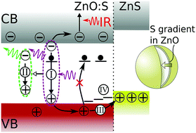 Graphical abstract: How sulfidation of ZnO powders enhances visible fluorescence