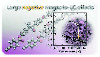 Graphical abstract: Large negative magneto-LC effects induced by racemic dimerization of liquid crystalline nitroxide radicals with a terminal cyano group