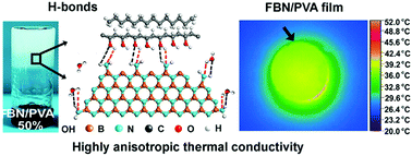 Graphical abstract: Super-compatible functional boron nitride nanosheets/polymer films with excellent mechanical properties and ultra-high thermal conductivity for thermal management
