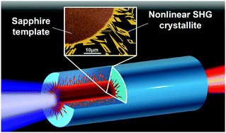 Graphical abstract: Architecting a nonlinear hybrid crystal–glass metamaterial fiber for all-optical photonic integration