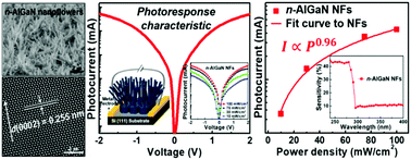 Graphical abstract: Synthesis of n-AlGaN nanoflowers by MOCVD for high-performance ultraviolet-C photodetectors