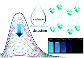 Graphical abstract: A new luminescent metal–organic framework based on dicarboxyl-substituted tetraphenylethene for efficient detection of nitro-containing explosives and antibiotics in aqueous media