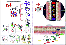 Graphical abstract: Mechanistic insight into ROS and neutral lipid alteration induced toxicity in the human model with fins (Danio rerio) by industrially synthesized titanium dioxide nanoparticles
