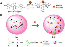 Graphical abstract: Target-responsive DNA hydrogel for non-enzymatic and visual detection of glucose
