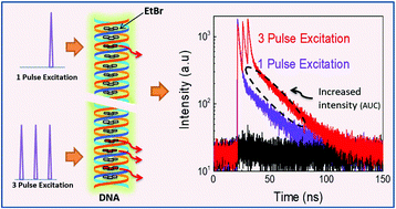 Graphical abstract: Enhanced DNA detection using a multiple pulse pumping scheme with time-gating (MPPTG)