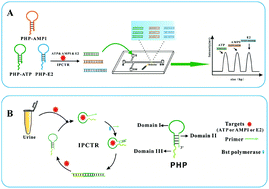 Graphical abstract: Multiplex detection of quality indicator molecule targets in urine using programmable hairpin probes based on a simple double-T type microchip electrophoresis platform and isothermal polymerase-catalyzed target recycling