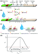 Graphical abstract: An improved detection limit and working range of lateral flow assays based on a mathematical model